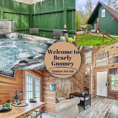 Bearly Gnomey Villa Gatlinburg Kültér fotó